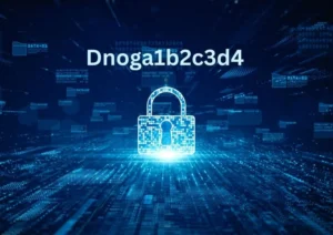 Dnoga1b2c3d4